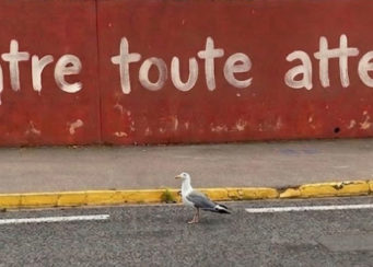 Contre toute attente