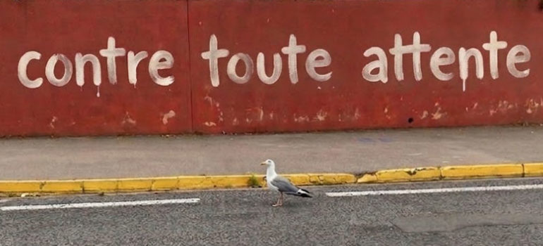 Contre toute attente